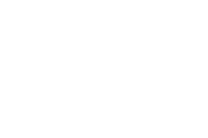 logo mini w